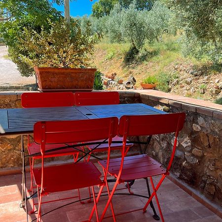 Agriturismo Schiaccia Ghiande Massa Marittima Eksteriør bilde