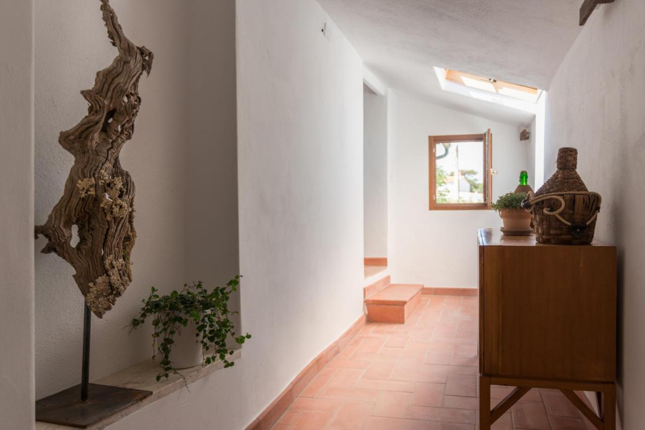 Agriturismo Schiaccia Ghiande Massa Marittima Eksteriør bilde